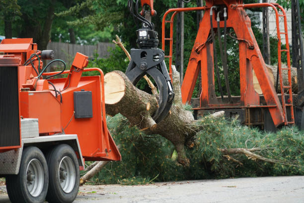 Best Grass Overseeding  in Thomasville, NC